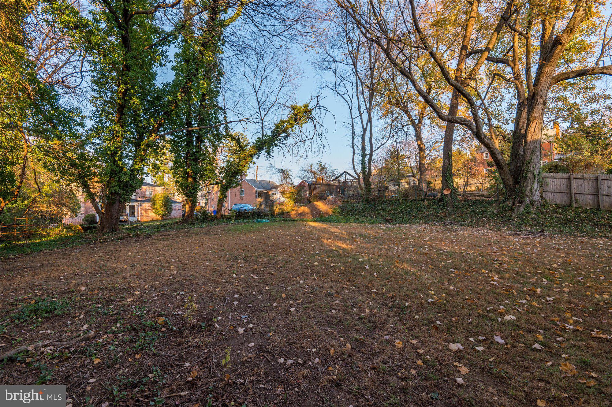 1005 Highland Drive Silver Spring, MD 20910 - Photo 61 of 61 Backyard