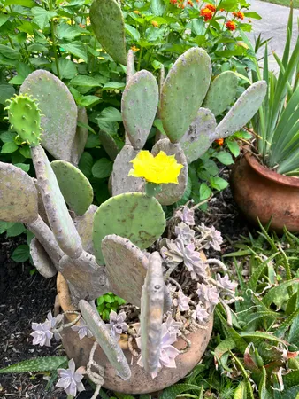 $435,000 | 104 Sugartree Place, Moncks Corner, SC 29461