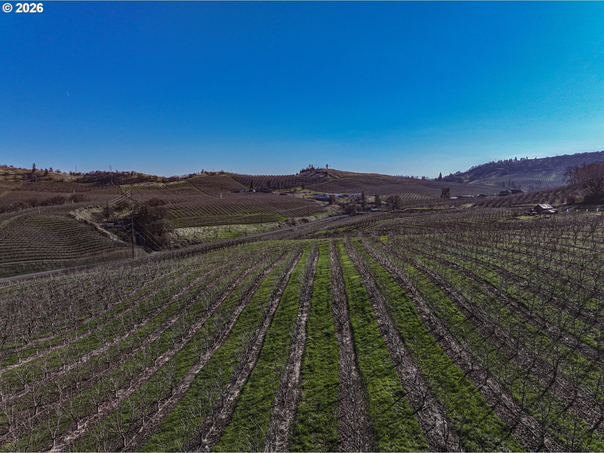 3699 Skyline Road The Dalles, OR 97058 - Photo 14 of 34