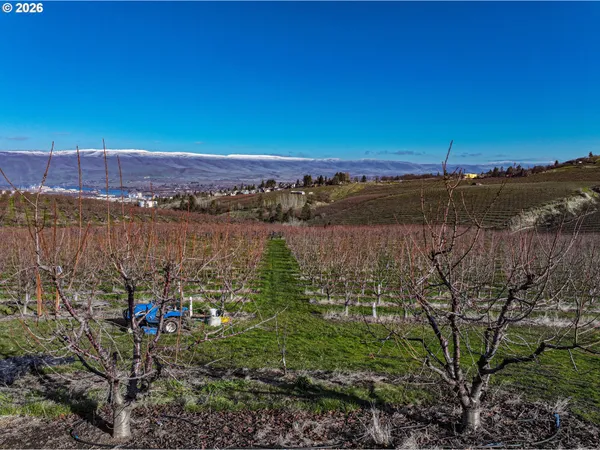 a kitchen with stainless steel appliances kitchen island granite countertop a refrigerator and cabinets