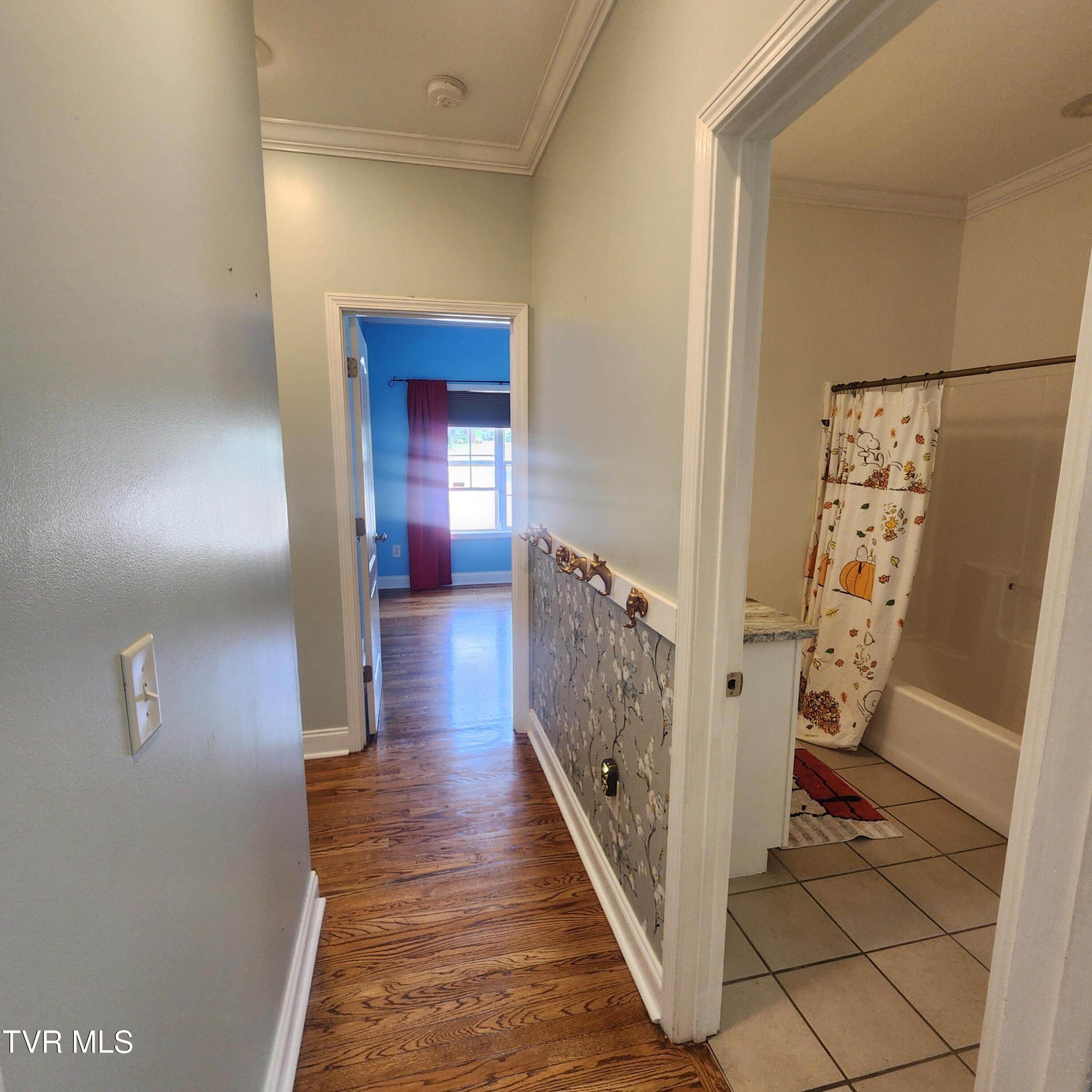 194 Sunset Meadows Court Gray, TN 37615 - Photo 28 of 57 20250818_134607