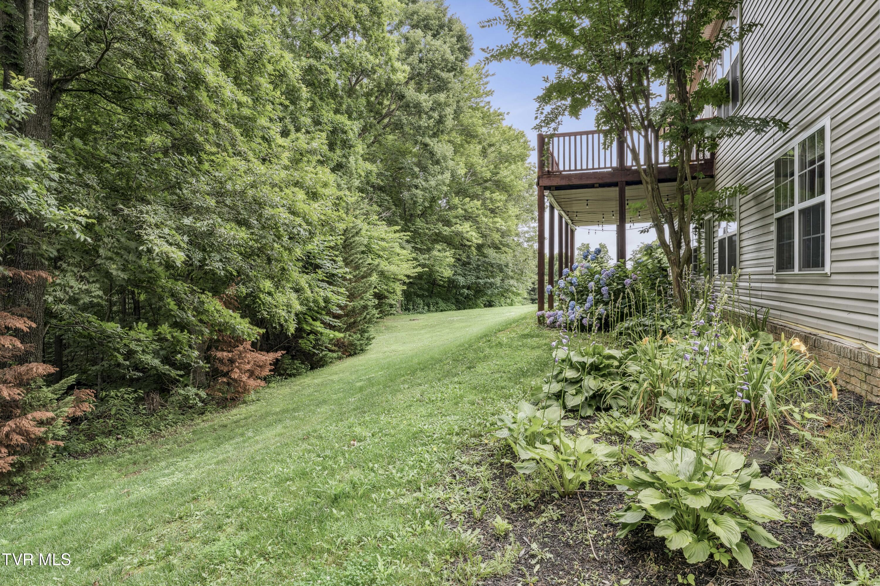 194 Sunset Meadows Court Gray, TN 37615 - Photo 54 of 57 SunsetMeadows-EXTERIOR-5