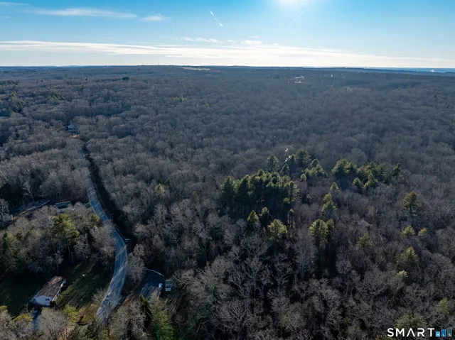 a view of backyard and tree