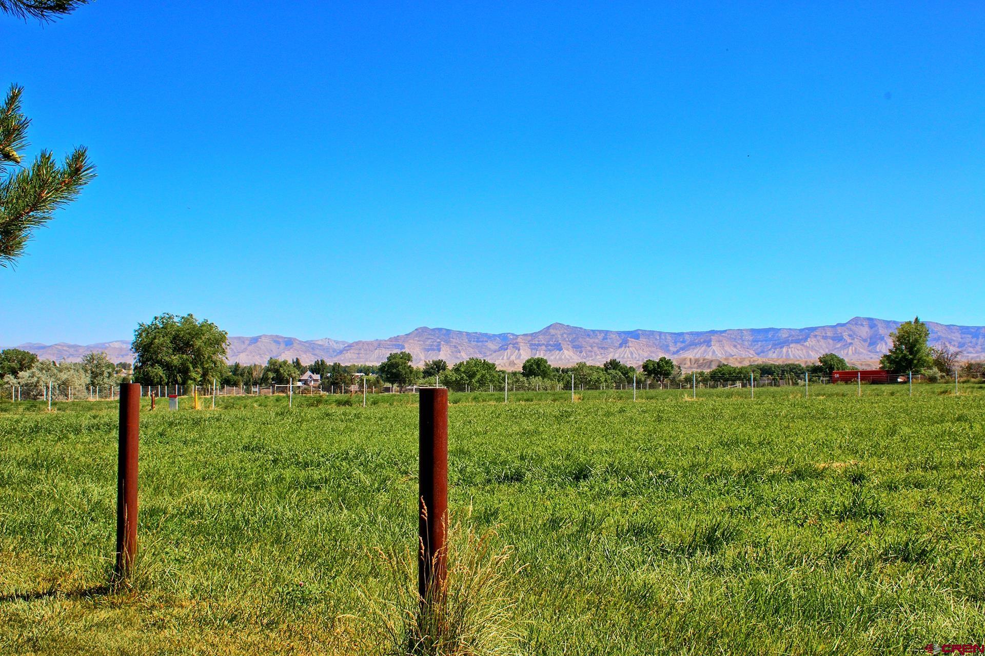971 24 Road Grand Junction, CO 81505 - Photo 41 of 43 a view of a lush green outdoor space with a swimming pool
