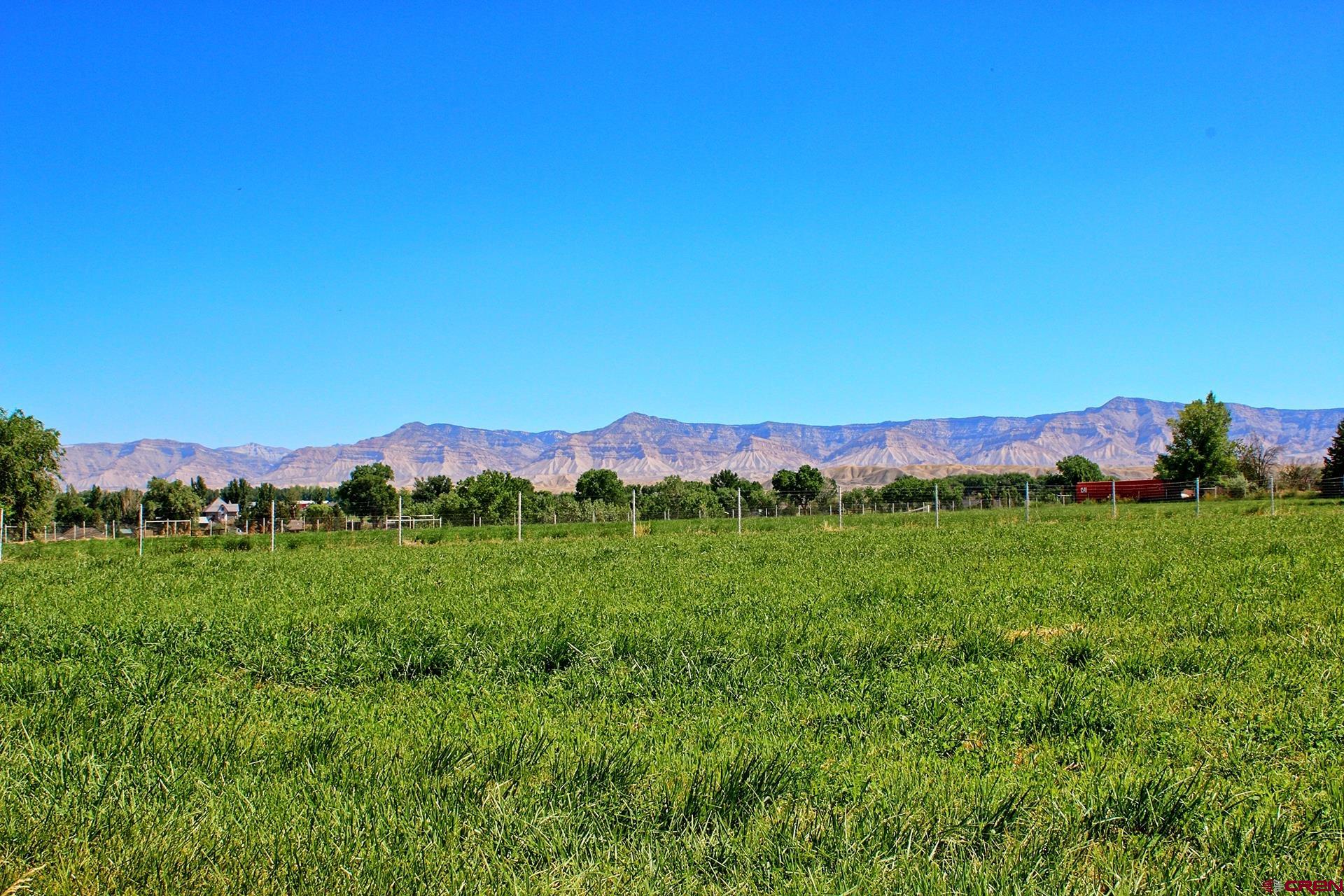 971 24 Road Grand Junction, CO 81505 - Photo 42 of 43 a view of a lush green outdoor space with a swimming pool and valleys in the background