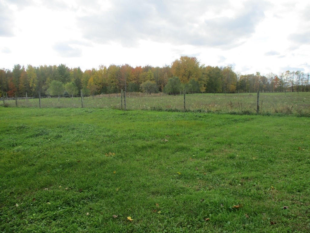 1151 County Line Road Webster, NY 14580 - Photo 18 of 19