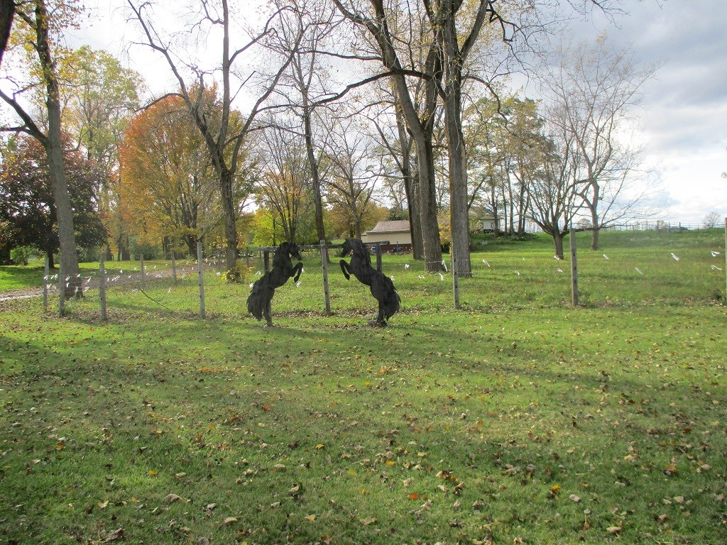 1151 County Line Road Webster, NY 14580 - Photo 8 of 19