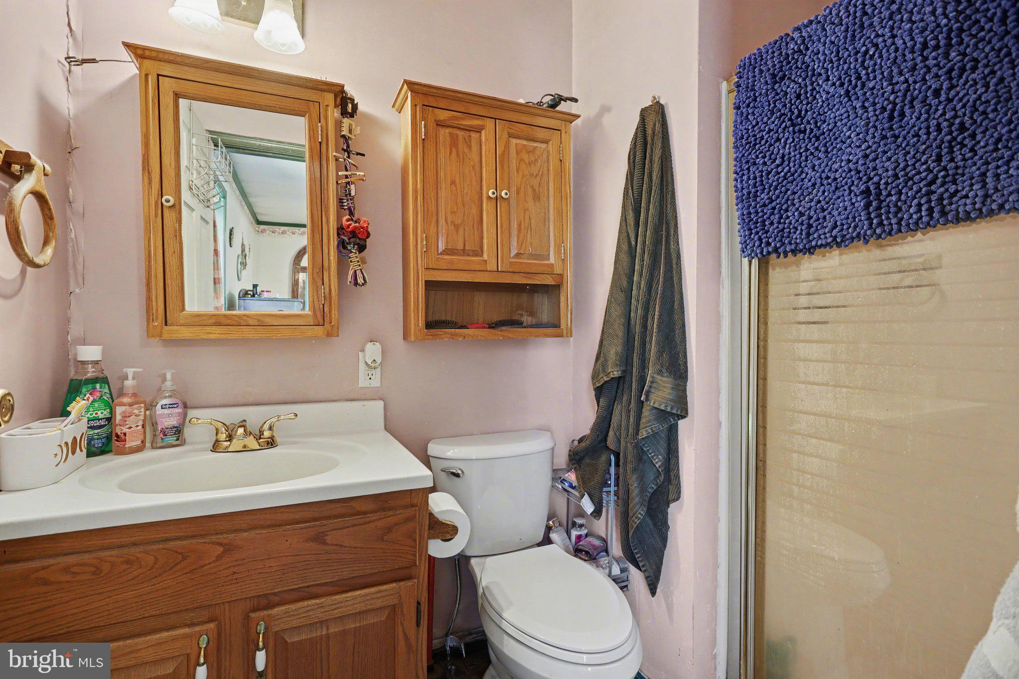 112 Green House Road Dillsburg, PA 17019 - Photo 15 of 23 Master bathroom ensuite