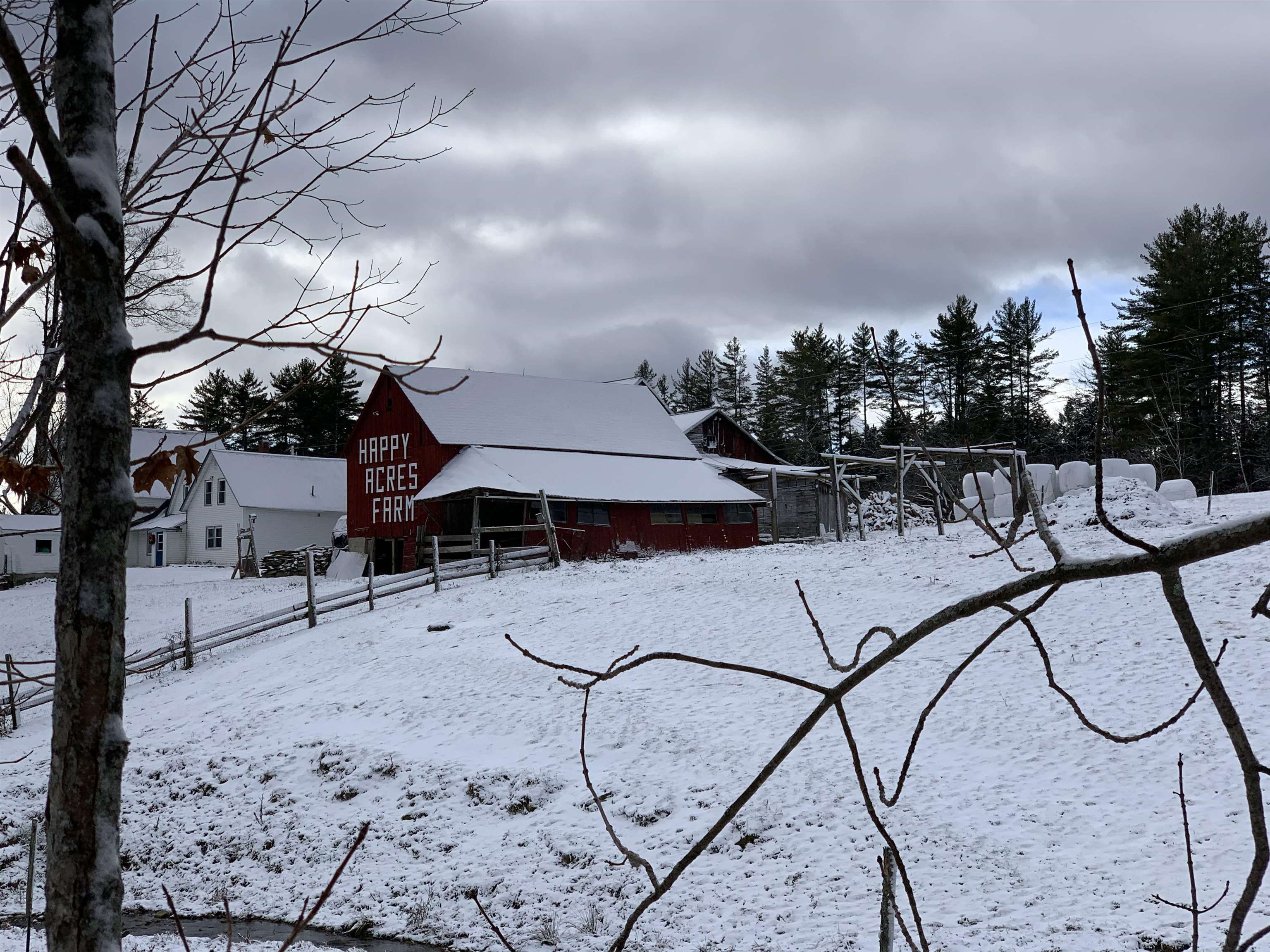 78 White Pines Road Reading, VT 05153 - Photo 40 of 42 Gallery Image 40