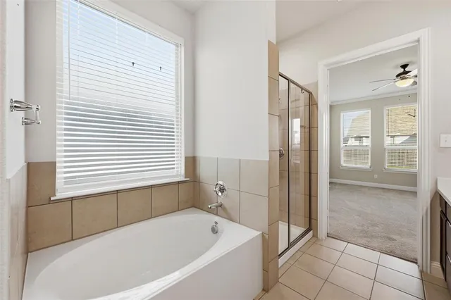 a bathroom with a bathtub and a shower