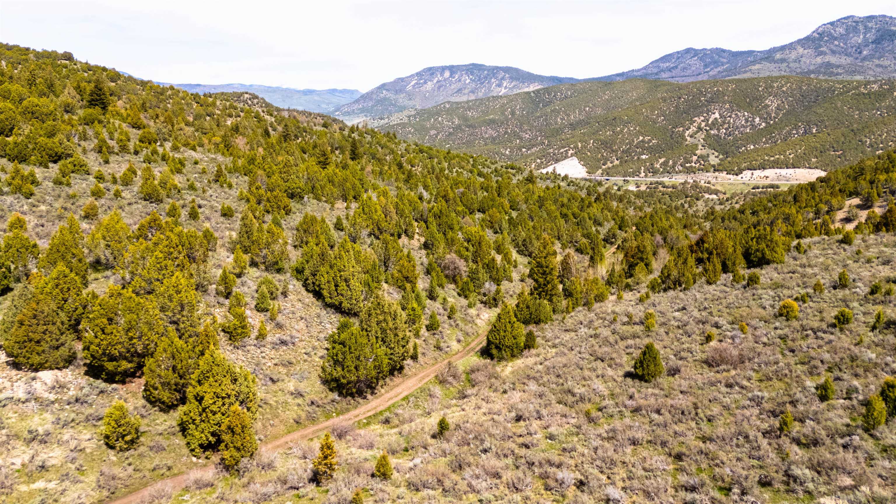 Tbd Fish Creek Road Lava Hot Springs, ID 83246 - Photo 13 of 50 Gallery Image 13
