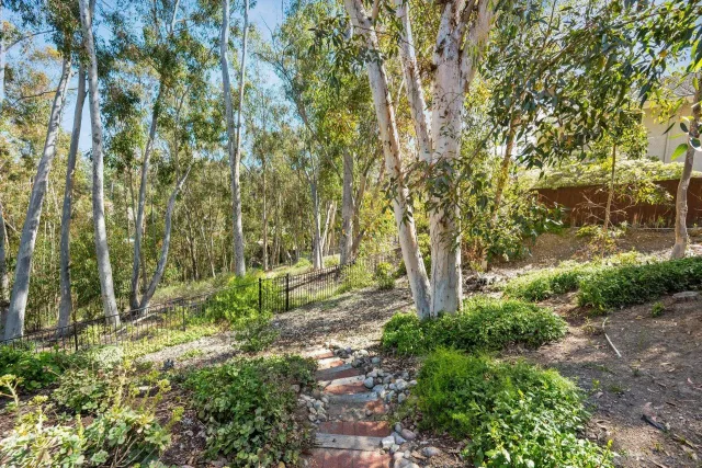 a view of backyard with green space