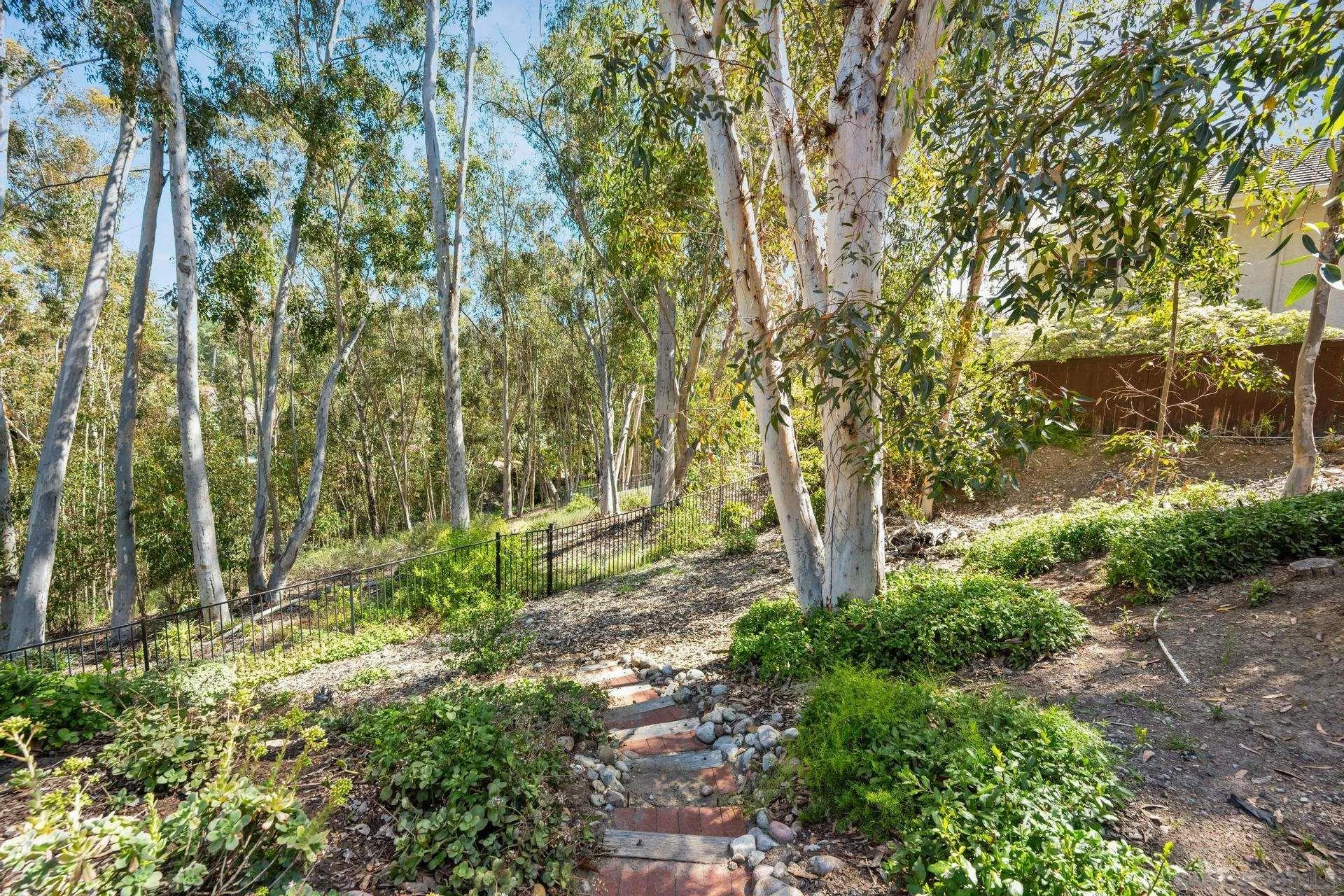 10575 Spruce Grove Avenue San Diego, CA 92131 - Photo 31 of 33 a view of backyard with green space