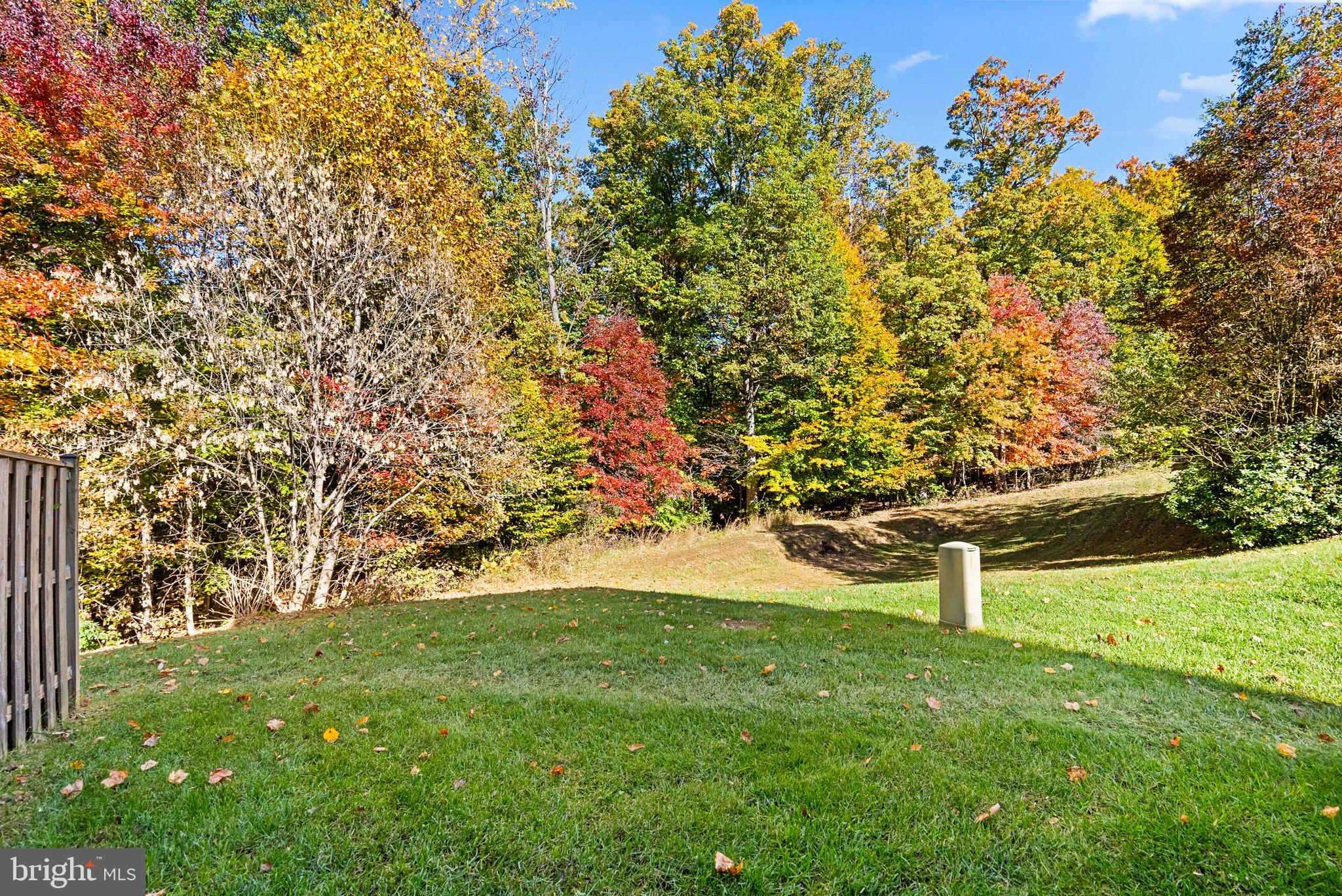 13905 Lullaby Road Germantown, MD 20874 - Photo 44 of 44 Gallery Image 44