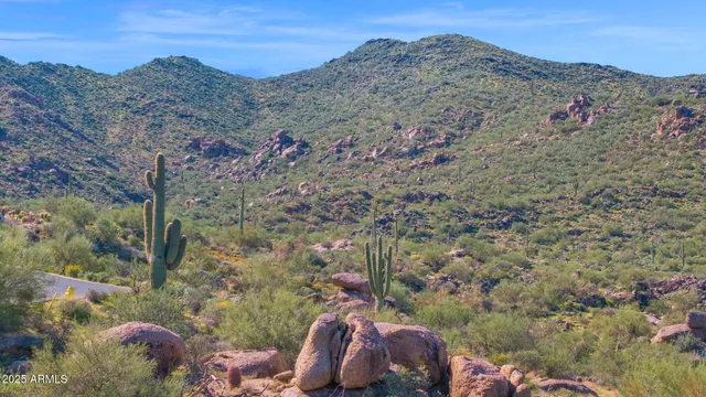 a view of a mountain in the distance