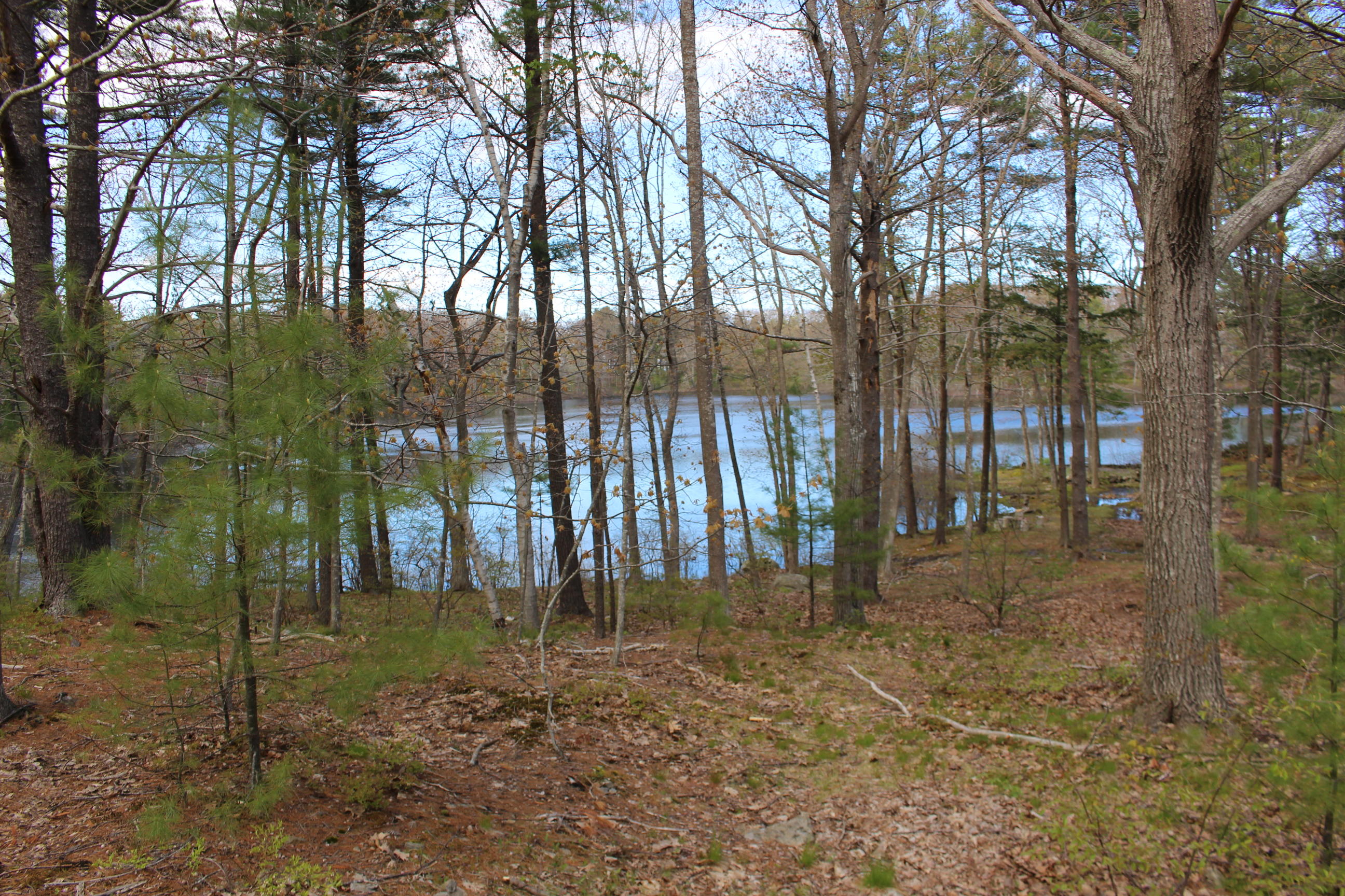 41 Pine Mountain Road York, ME 03902 - Photo 5 of 13 Lake view