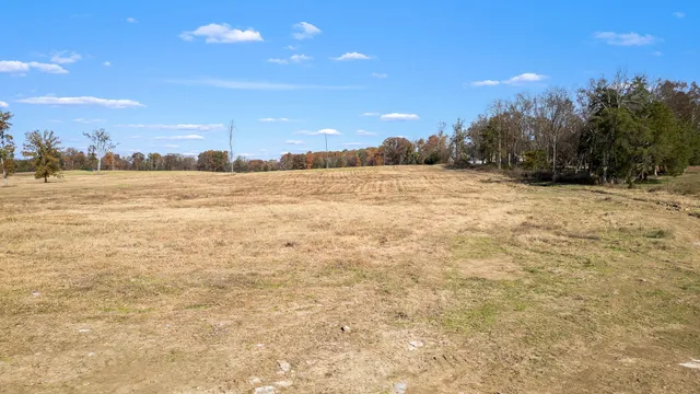 a view of an ocean beach