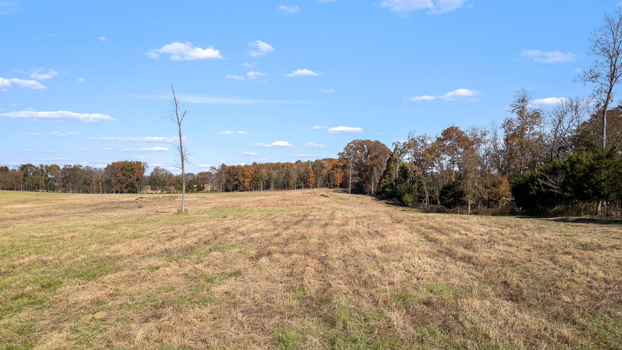 0 Dixon Road Shelbyville, TN 37160 - Photo 8 of 18 a view of a yard