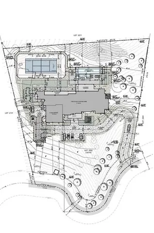 an aerial view of residential houses with outdoor space and covered with trees