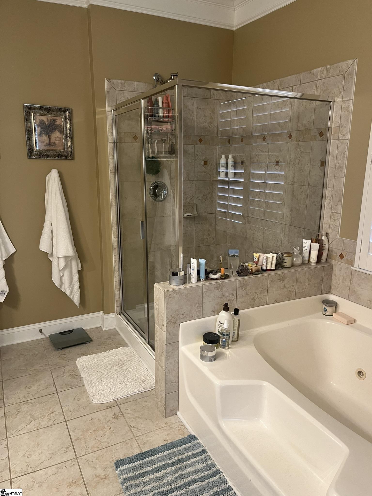 1 Dillworth Court Simpsonville, SC 29681 - Photo 9 of 17