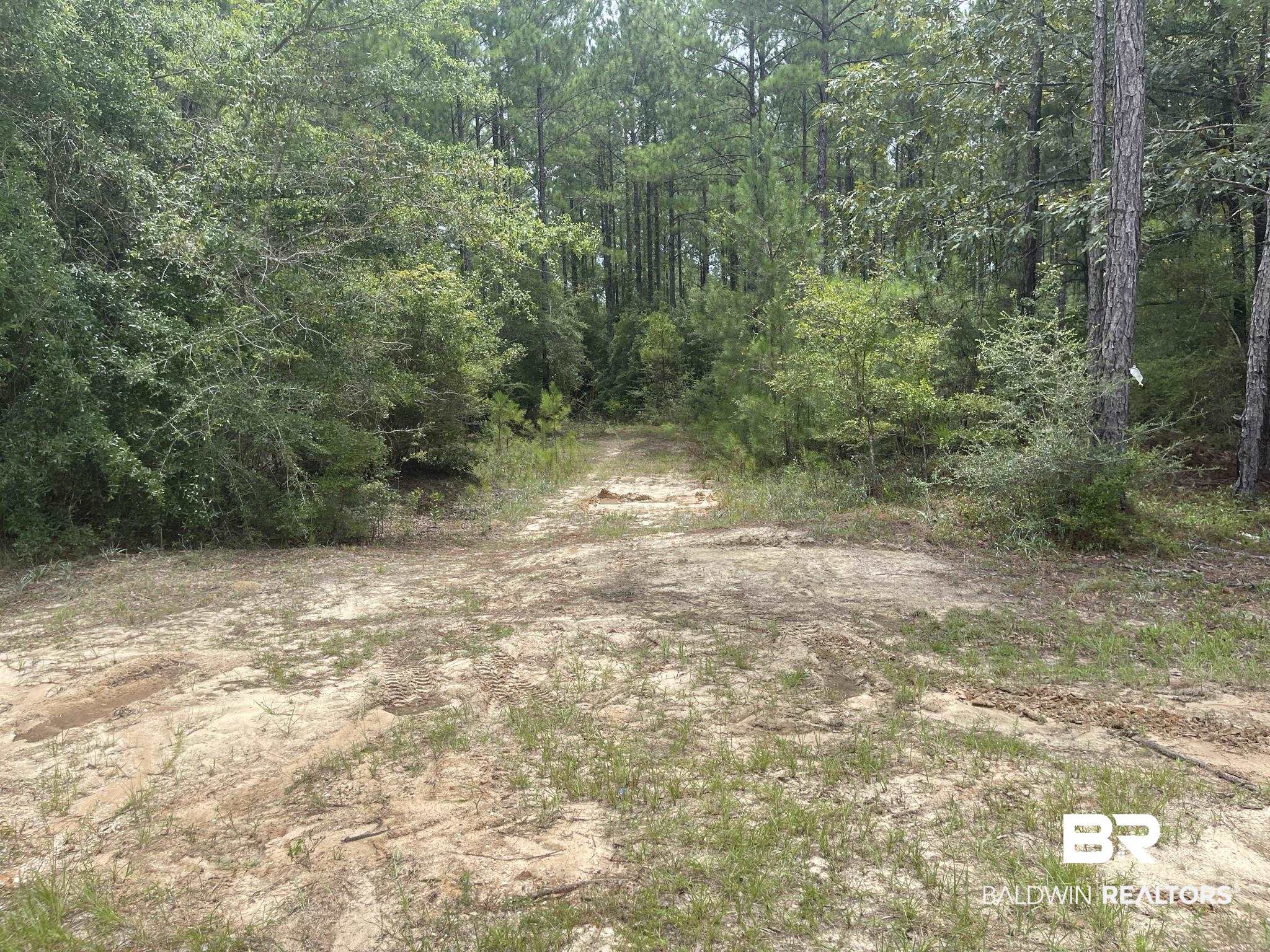 0 County Road 11 Wing, AL 36483 - Photo 33 of 37