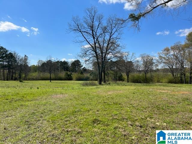0 Holly Hills Road Lincoln, AL 35096 - Photo 5 of 5
