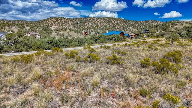 a view of a yard with plants and trees