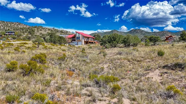a view of a tree with a yard