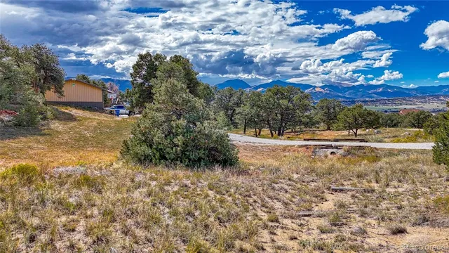 a view of a bunch of trees and bushes