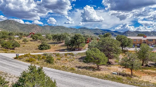 a view of a yard with a tree