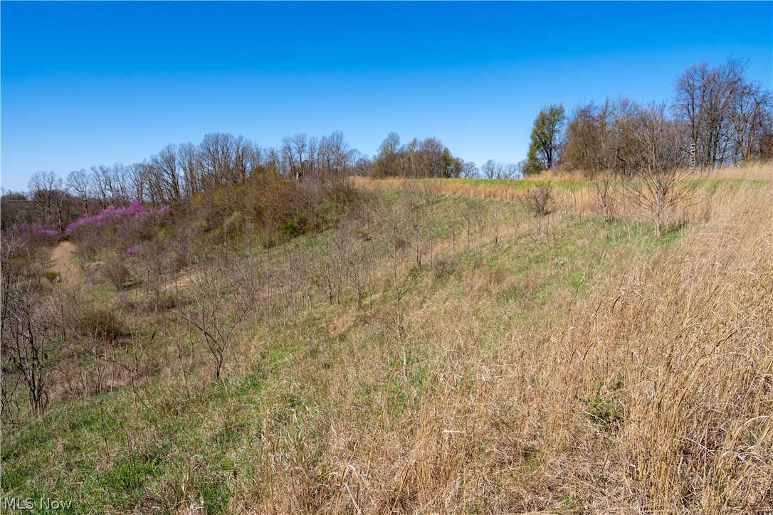 Sealover Hollow Rd Road Philo, OH 43771 - Photo 13 of 36