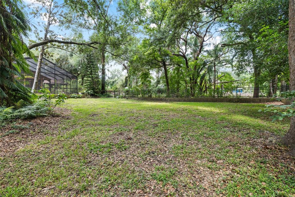 181 North Smokey Mountain Road Seffner, FL 33584 - Photo 36 of 61