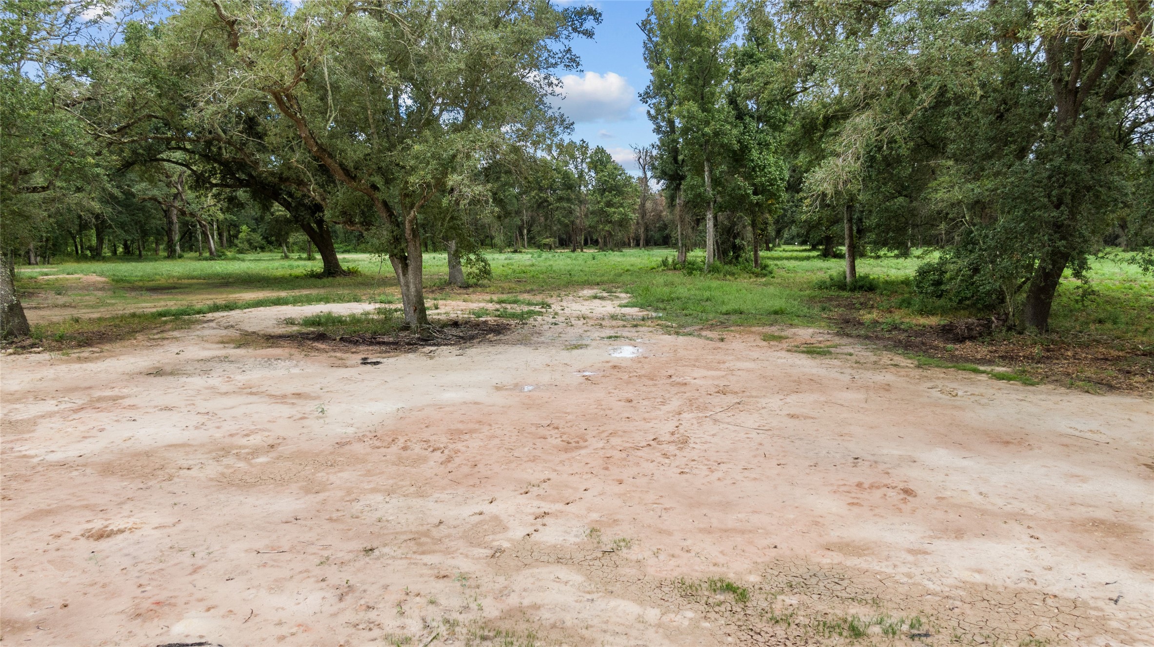 31901 Interstate 10 Hankamer, TX 77560 - Photo 11 of 12 a view of a tree in a park