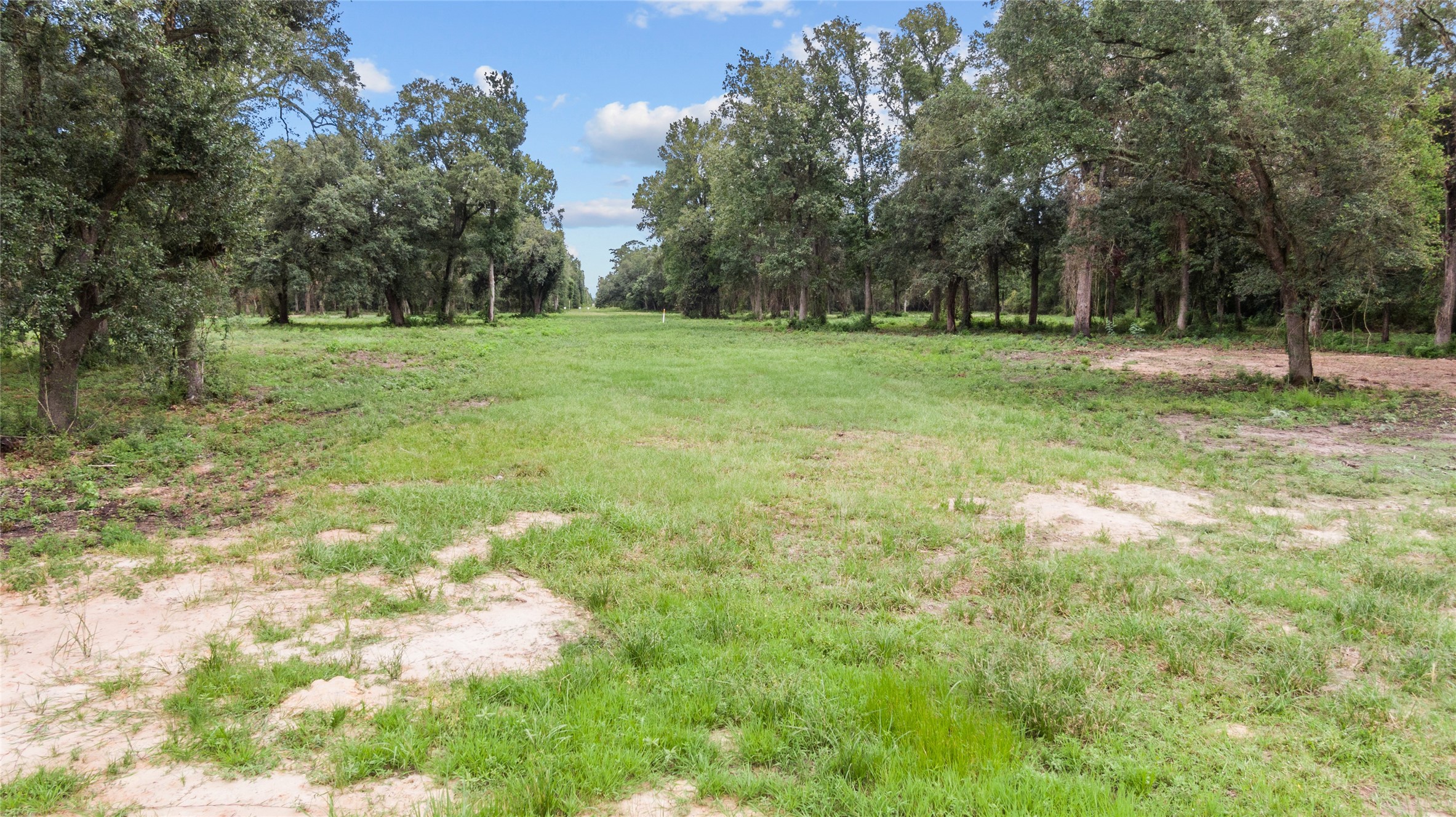 31901 Interstate 10 Hankamer, TX 77560 - Photo 2 of 12 a backyard of a house with lots of green space