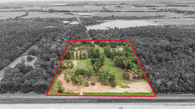 a view of a park with large trees