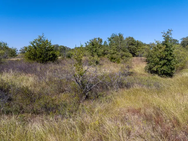 a view of a yard with a tree