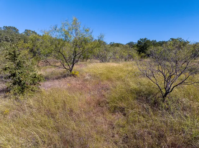 a view of a yard with trees in the background