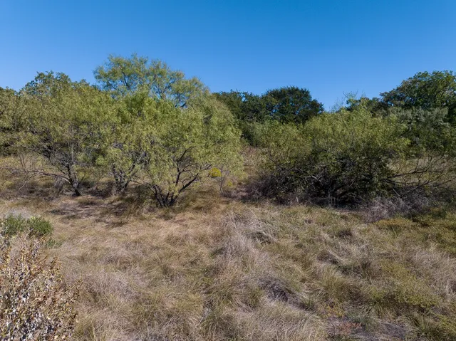 a view of a yard with a tree in the background
