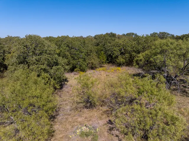 a view of a city with lush green forest