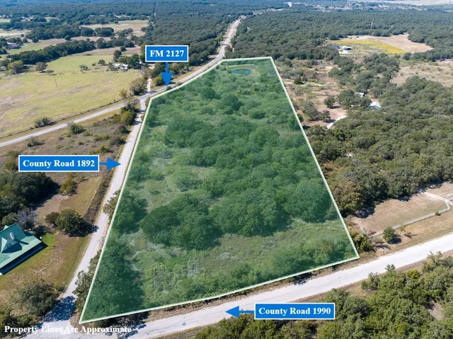 a view of a yard with potted plants