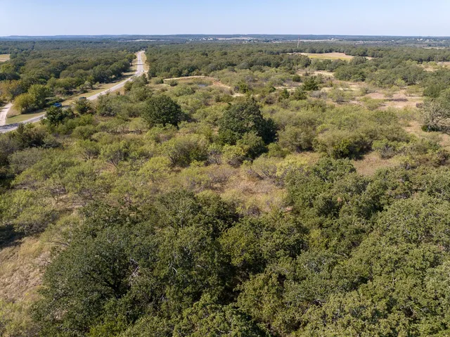 a view of a forest with a forest