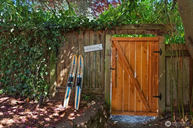 a view of a yard with plants and large trees