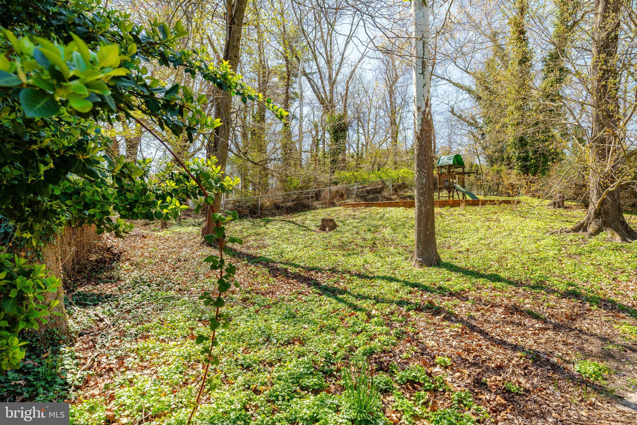 583 Lake Boulevard Lindenwold, NJ 08021 - Photo 49 of 51 a view of a yard with an trees