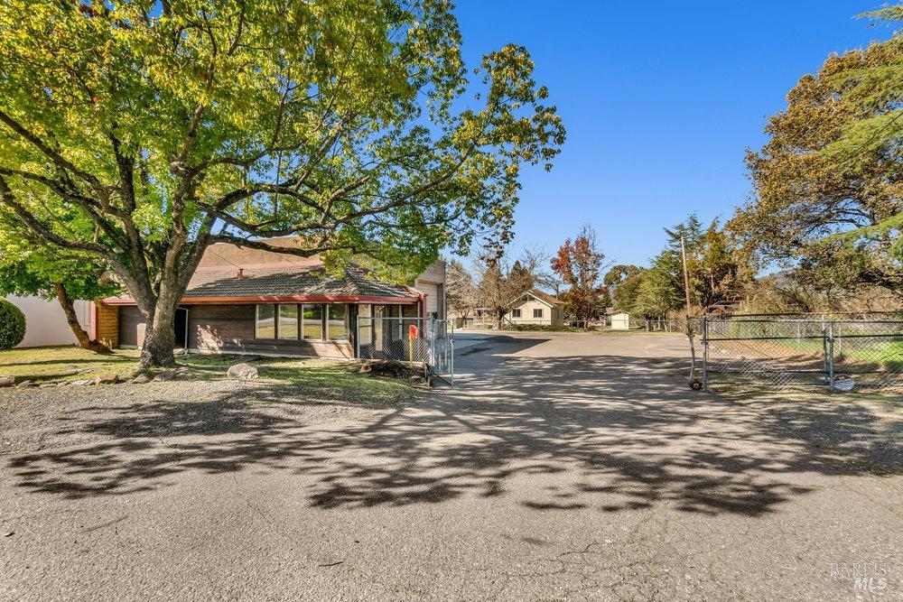 4785 Highway 12 Santa Rosa, CA 95409 - Photo 2 of 80 a tree in front of a white house