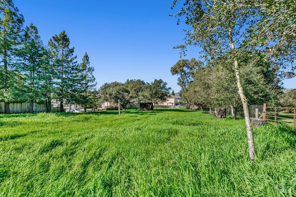 4785 Highway 12 Santa Rosa, CA 95409 - Photo 48 of 80 a view of green field with plants and trees