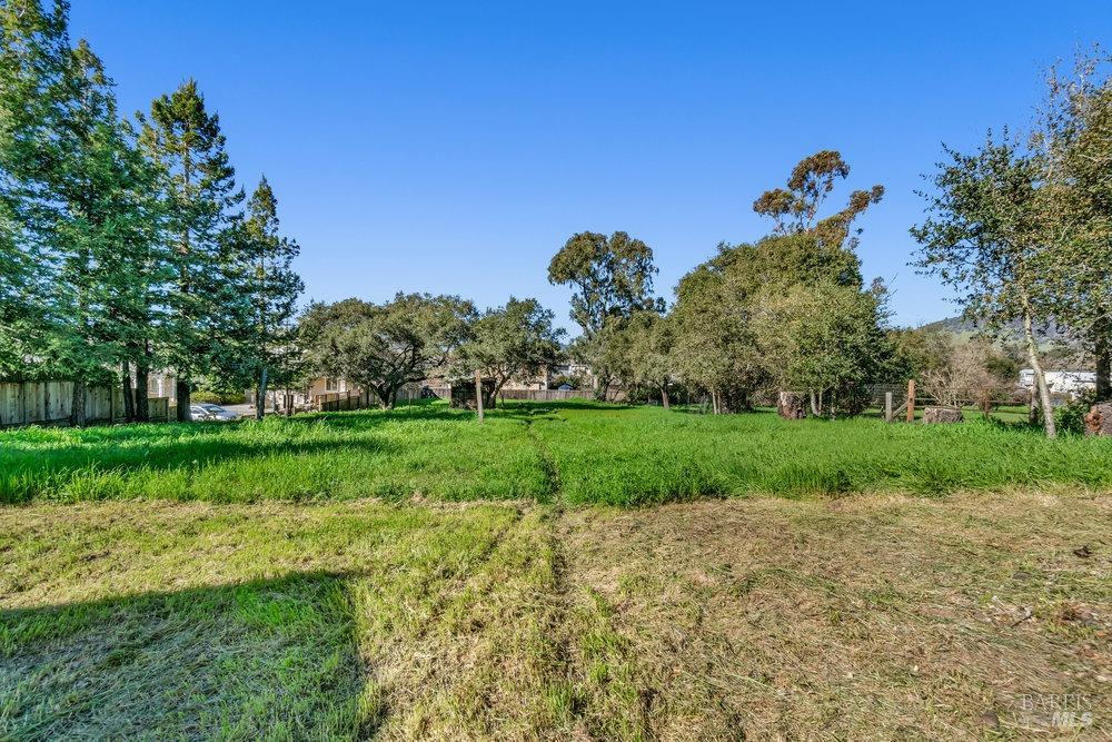 4785 Highway 12 Santa Rosa, CA 95409 - Photo 49 of 80 a view of a yard with plants and trees