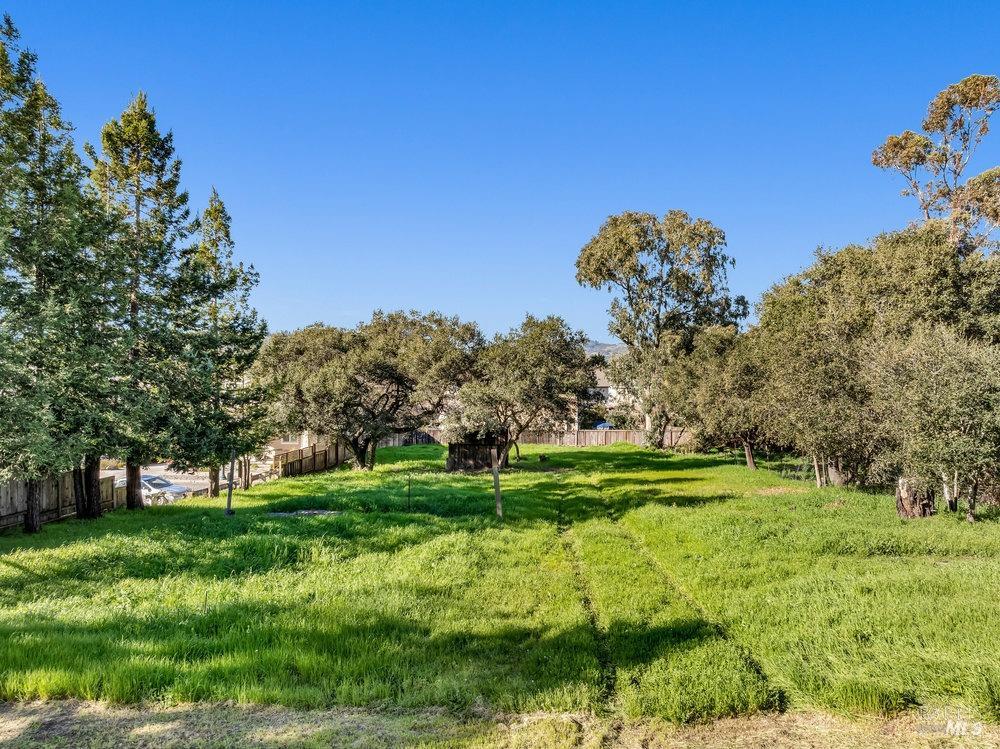 4785 Highway 12 Santa Rosa, CA 95409 - Photo 50 of 80