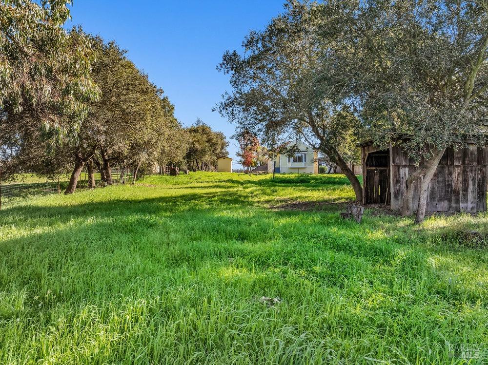 4785 Highway 12 Santa Rosa, CA 95409 - Photo 52 of 80 a view of a park with large trees