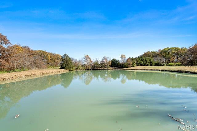 5297 Brighton Bunker Hill Road Bunker Hill, IL 62014 - Photo 8 of 39