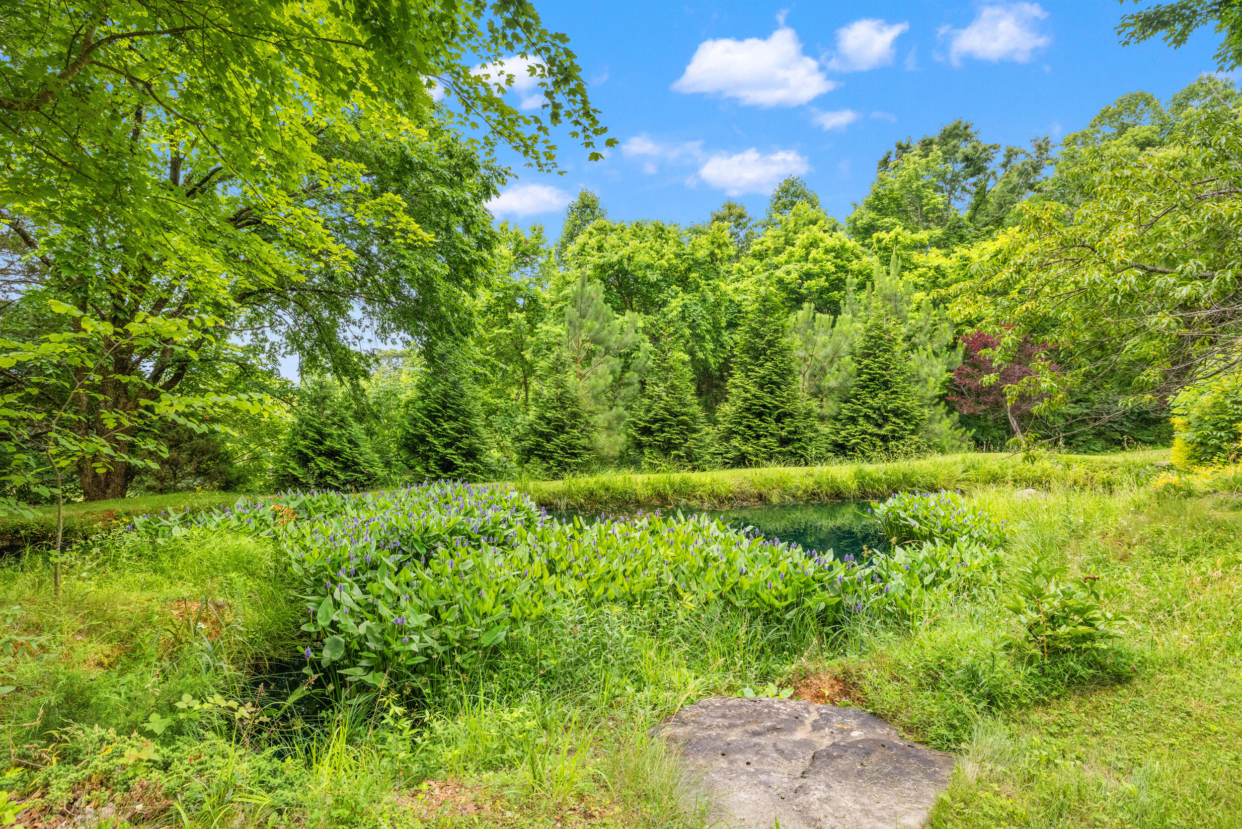 1564 High Ridge Road Middleburg, KY 42541 - Photo 72 of 79 58_1h4a4732